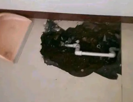 安平卫生间测漏水多少钱